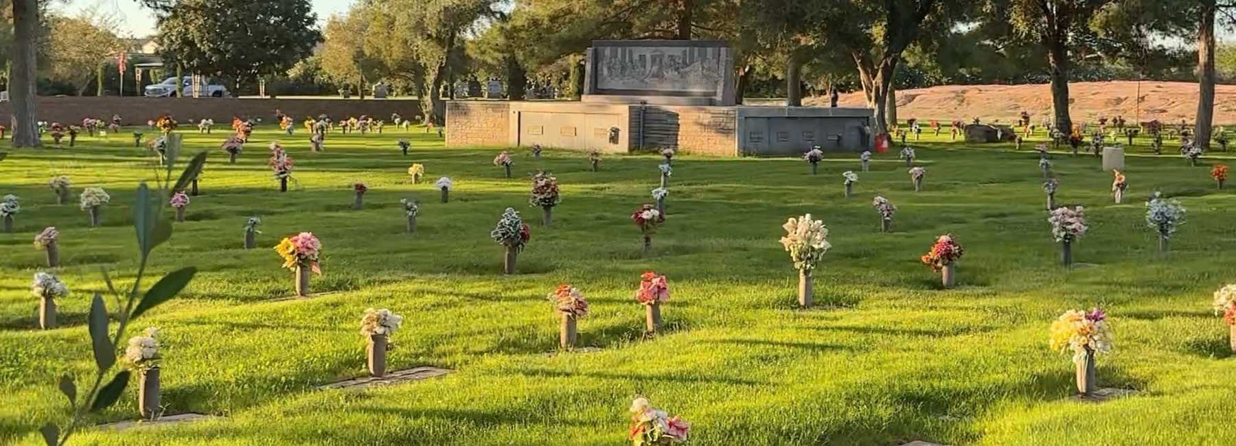 A lawn section at Mountain View in late afternoon light, flowers on the markers